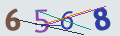 verifycode